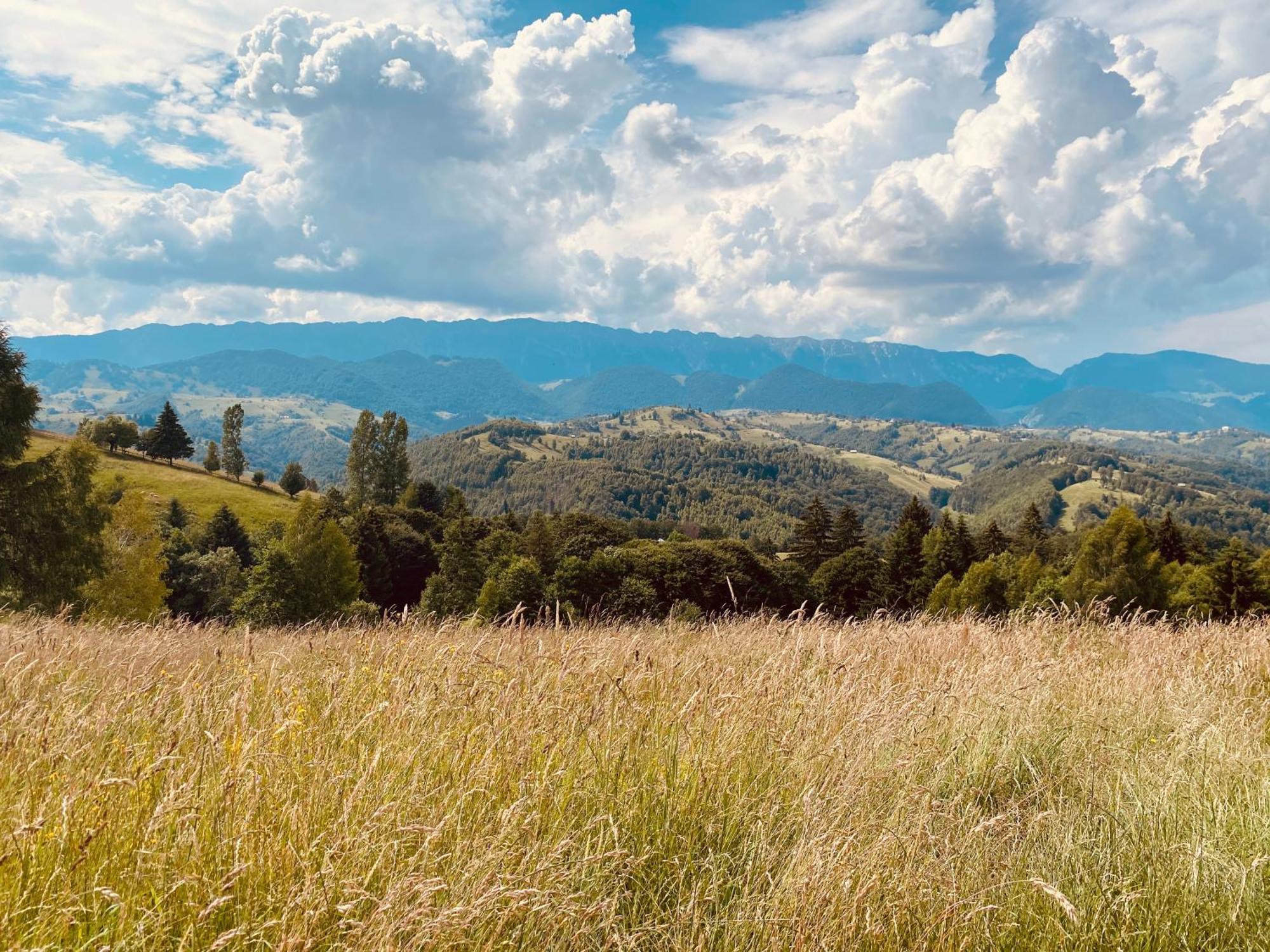Amont Chalet Peştera Exteriör bild