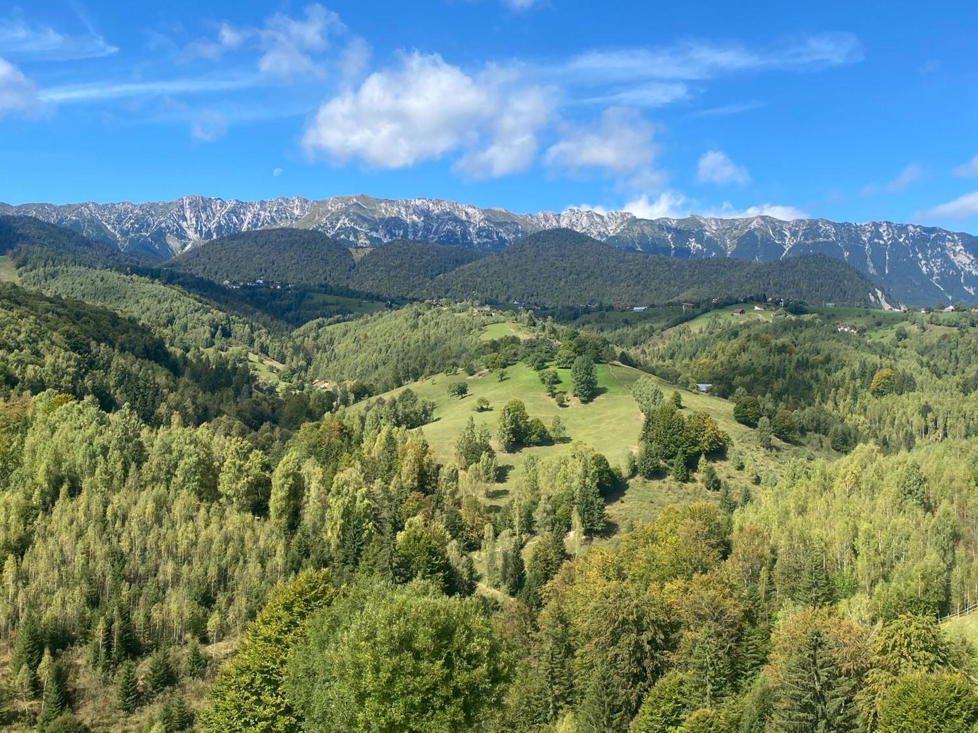 Amont Chalet Peştera Exteriör bild